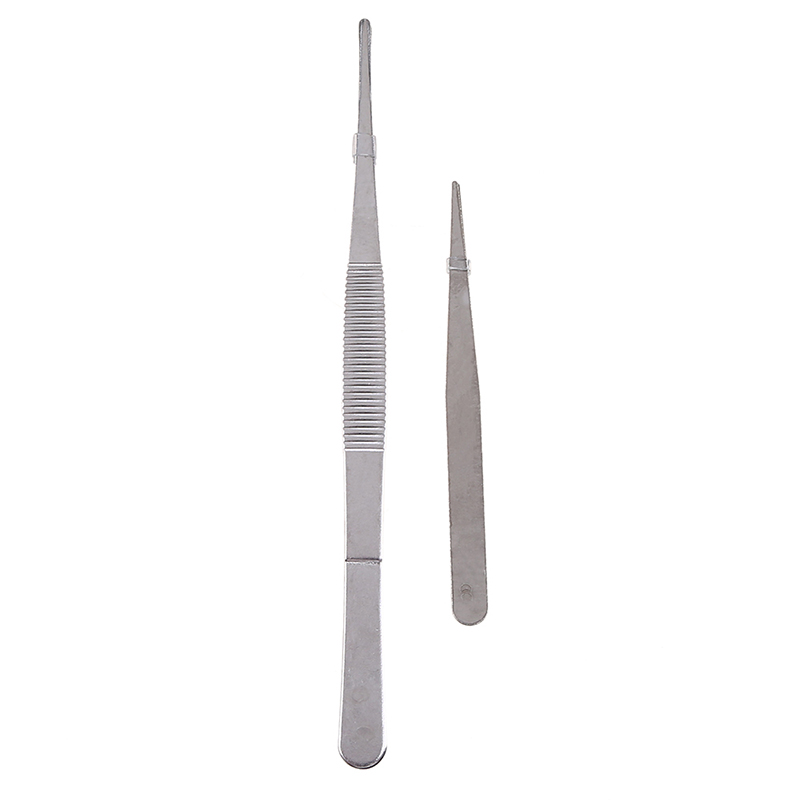 Tweezer Micro paisagem DIY Seguro, pinças curvas lisadas, alimentando TIrs Ferramentas de Nippers para lagartos de répteis de répteis