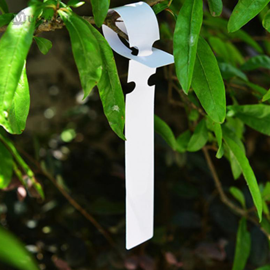 Jardinage PVC Tags Nursery Garden Plant lié marqueurs en plastique Étiquette d'affichage en plastique Ornement d'arbre de pieu en pot durable