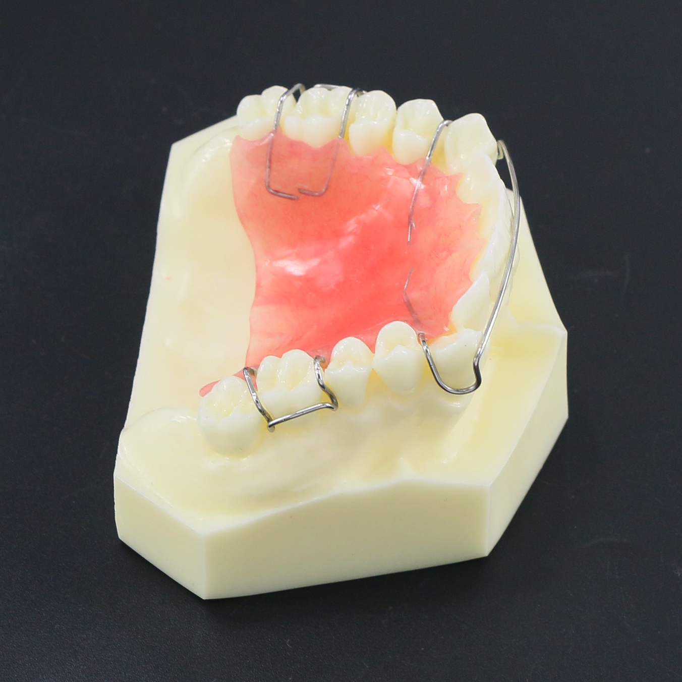 Trattamento ortodontico dentale Denti denti Modello typodont m3007 con fermo hawley studio di studio di laboratorio dentale