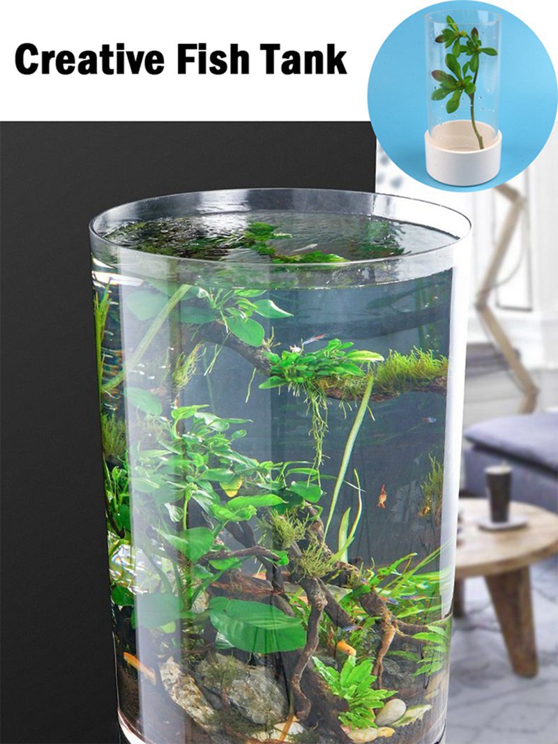 DIY Mini Fish Bowl Office Desktop butelka ekologiczna Organizmy akwatyczne akcesoria akcesoriów akwariów ozdobnych