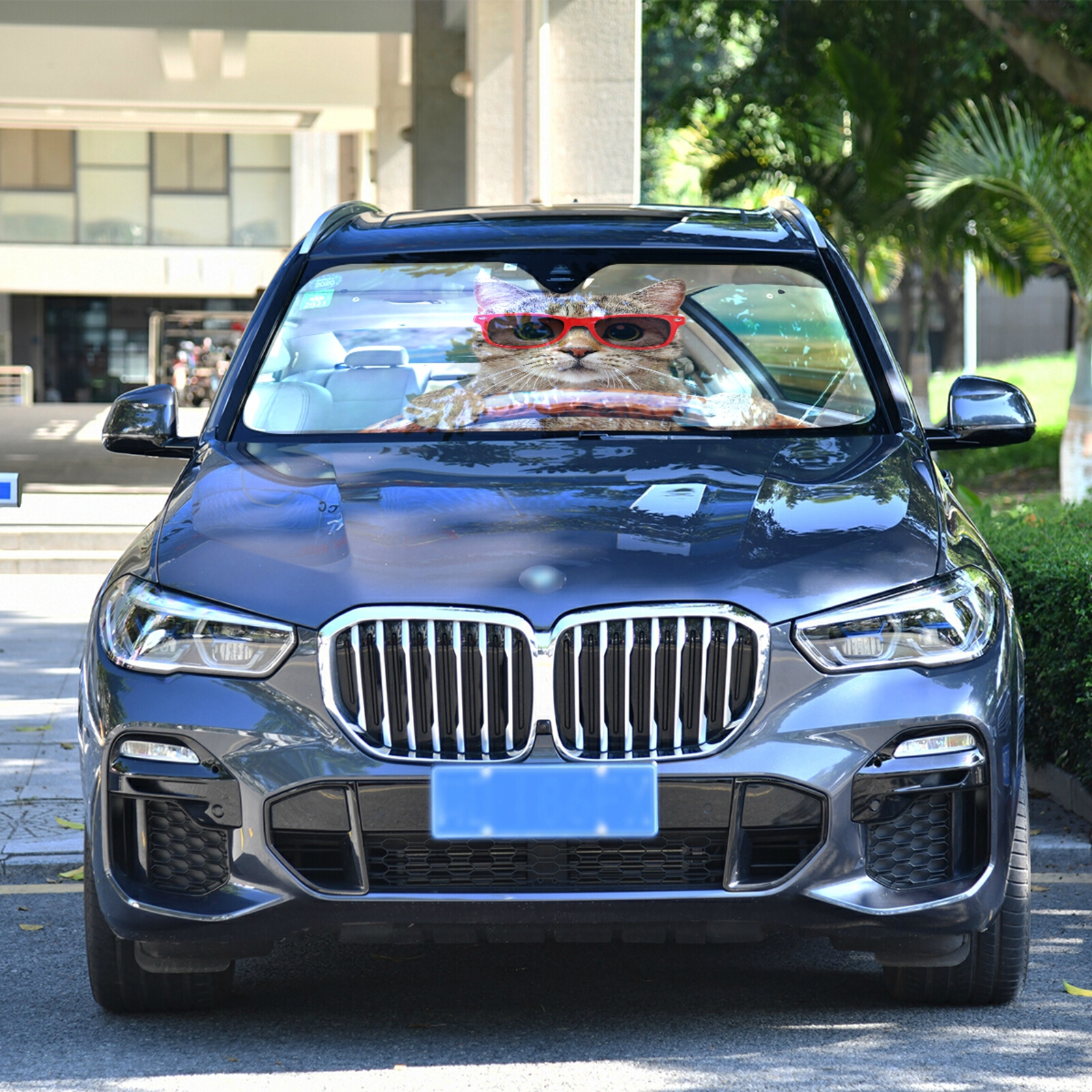 Autosonne Visier Sonnenbrille Katze Fahrautos Windschutzscheibe Sonnenschatten Auto -Frontfenster Abdeckung Faltbar UV -Beschützer halten Fahrzeug kühl halten