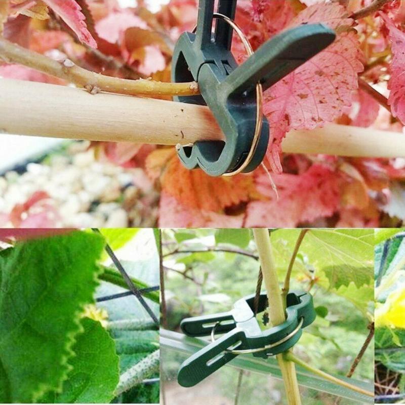 Plant Cages & Supports Spring-Loaded Garden Plant And Flower Support Large & Small Plant Clips Plant Support & Care