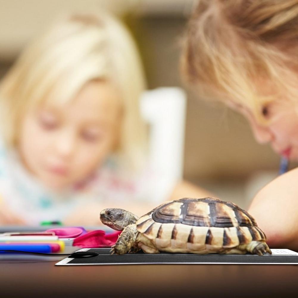 Huisdier warme kachel reptielen huisdieren verwarmingskussen klimmen huisdier met thermostaat controller terrarium warmer verwarmde matten reptielen benodigdheden