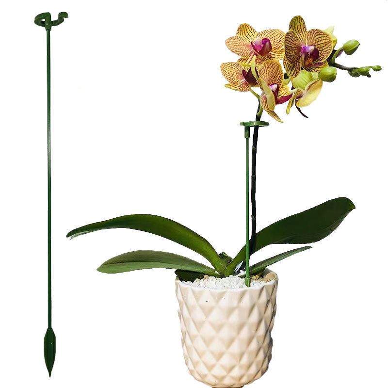 stand de plante phalaenopsis orchidée fleur stand spécial stand à la maison fournitures de jardinage fleur tige de jardin en pot fixe