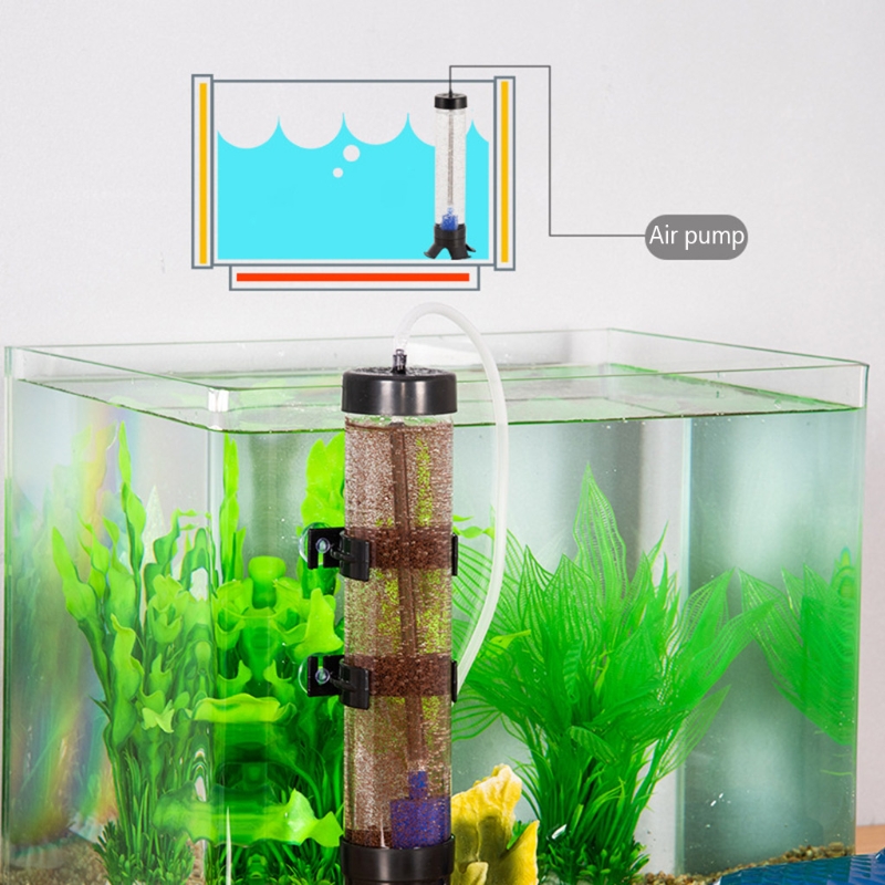 Acquista di pesce Acquario Acquario Acquario Acquario Artemia Oggs Incubator Strumento di vivaio Kit Attrezzatura da cova fai -da -te Cultivati animali acquatici