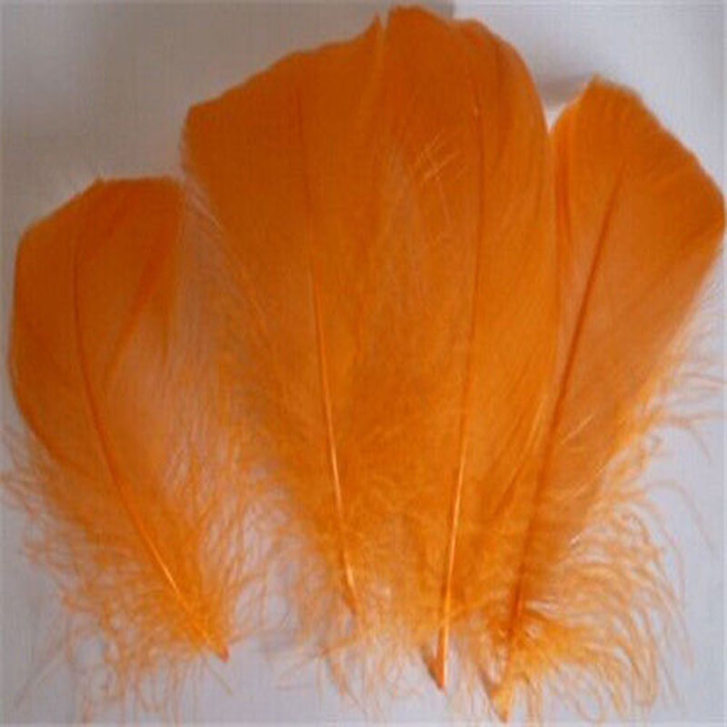 plumes d'oie naturelles flottantes de 8 à 12 cm panaches de cygne coloré pour le chapeau de maison show bricols artisan