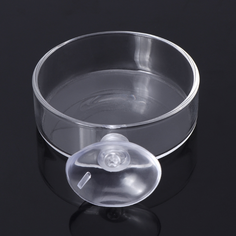 NIEUWE VAS TANK FEEDER Aquarium Garnalen Glass Voedingskom Clear Dish Tray