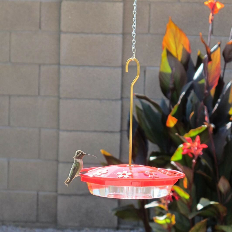 A 8 buche Hummingbird alimentatore alimentazione camino uccelli forniture bere tazza di tazze la fontana acqua uccelli all'aperto