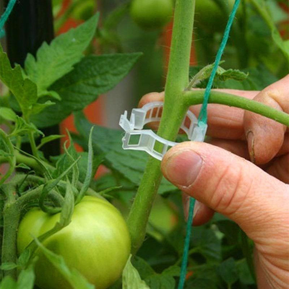 Nouveau 50 / Trellis en plastique Clip de tomates Soutiens Connects Plants Vines Cages Greenhouse Veggie Garden Plant Plant Clip