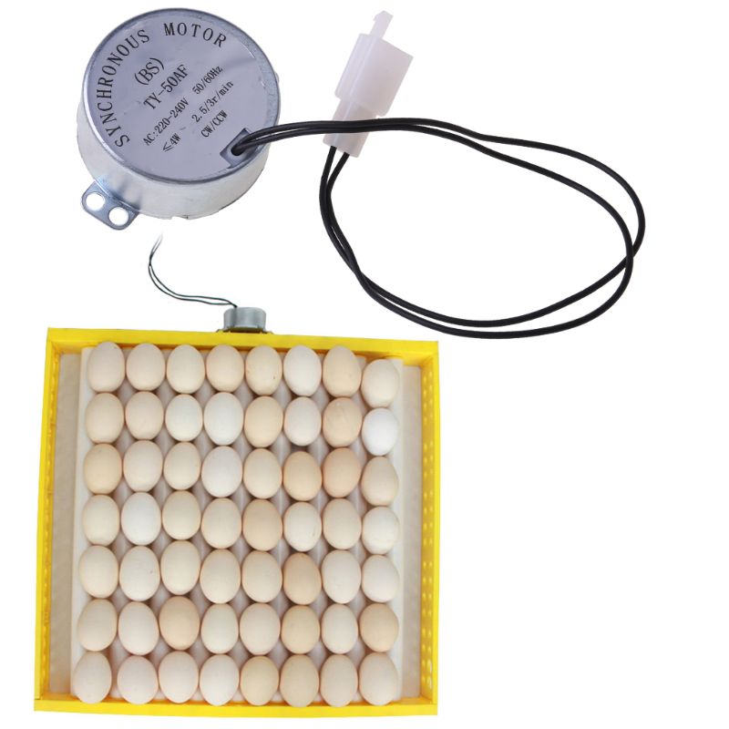 220V AC Chicken Egg Turner Motor Components Farm Hatcher Incubator Brooder automatic incubators hatching eggs Pet feeding supply