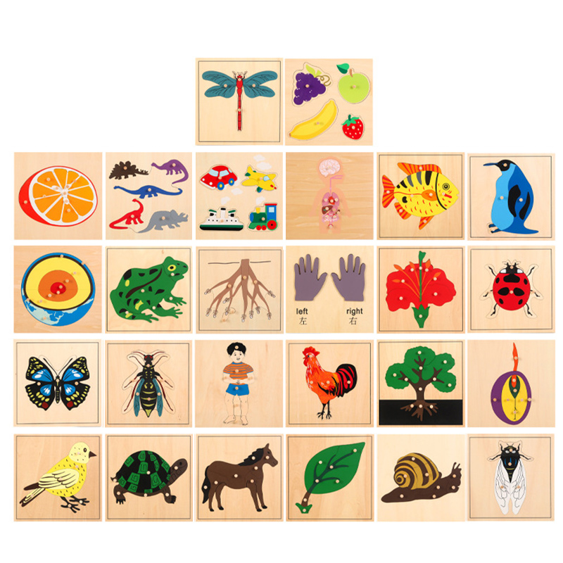 Puzzle de sciences naturelles en bois Montessori jouets animaux / plantes / insectes / fruits / structure d'organe humain Toys éducatifs pour enfants