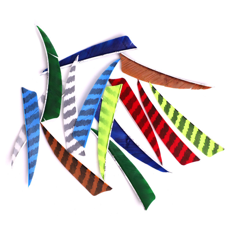 /Escudo Corte Arco -flecha Feathers Feathers Turquia Arrow Arco e fleching Fletching 4 polegadas