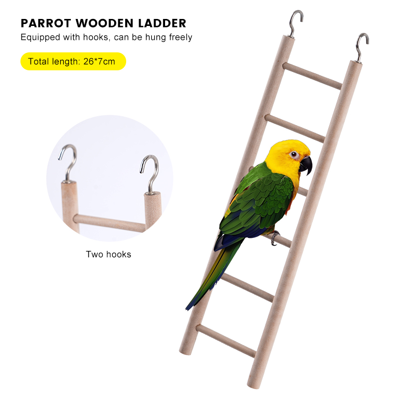 Bird Toys Swing Moofing Training Toys Small Parrot suspendu hammac Parrot Cage Bell Perch Toys With Ladder Pet Supplies