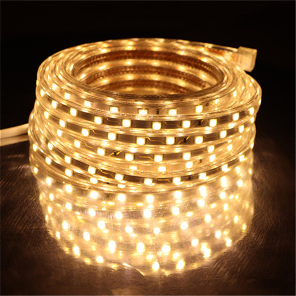 SMD 5050 AC 220V LED Strip Outdoor Termroprooor 220V Flexible Tape LED Light avec bouchon d'alimentation 1m / 2m / 3m / 4m / 5m / 6m / 10m / 15m / 20m / 25m