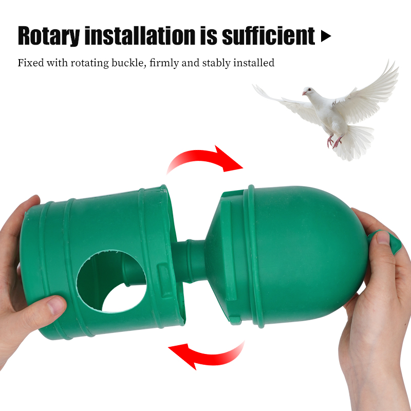 Pigeons Feeder Water Pot 1L Plastic Pet Pet Disenser Dispener Continier Automatique Pot Pot Conteneur Bouteille Pour Birds Supplies