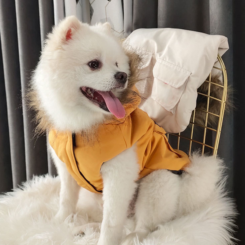 Veste de luxe Down For Dogs Coat à linge pour animaux de compagnie pour petits chiens moyens français bulldog bull terrier chiot vêtements tenues