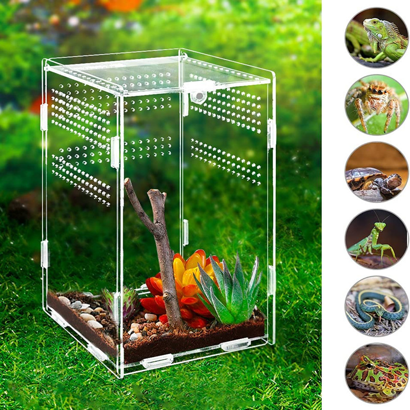 Nieuwe reptielen Habitat Terrarium fokdoos acryl transparante reptielen kooi nano arborale tarantula behuizing terrarium