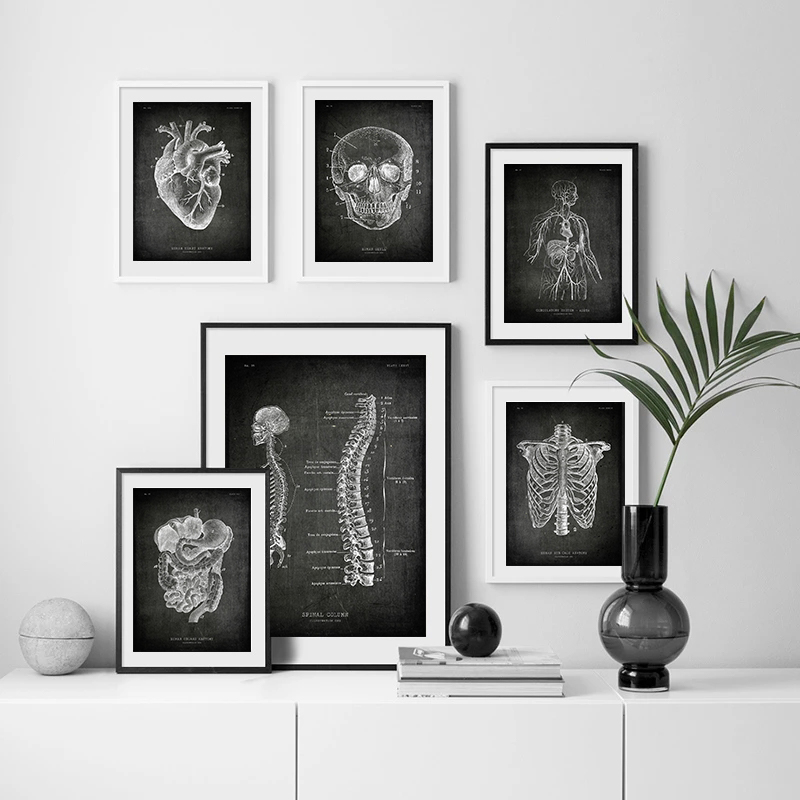 Anatomy Bone Organs Blackboard Poster Retro Home Medical Students Decorative Medical Art Wall Painting Home Decorative Painting