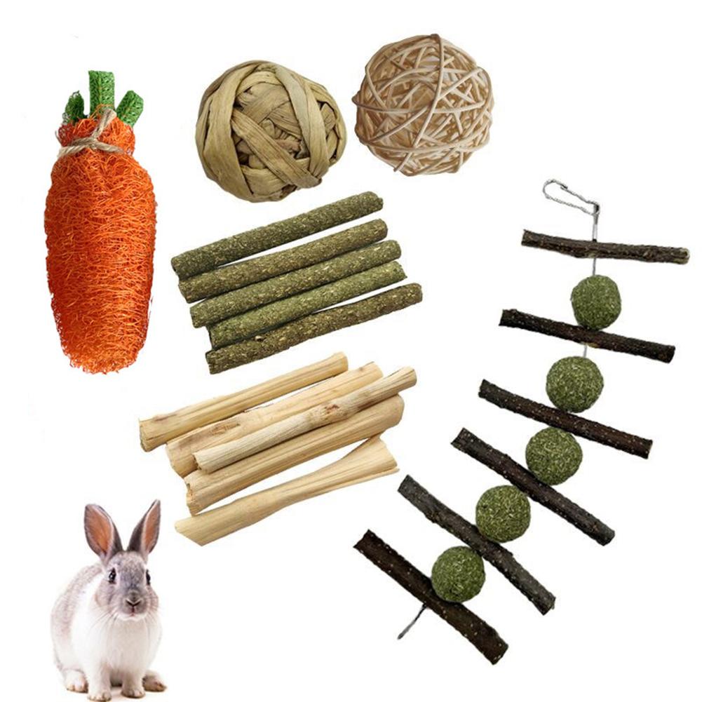 Pet Chew Toys Set Natural Wood Sticks Loofah Rattan Ball Handgjorda behandlar presenttänder Vård för Hamster Rabbit Guinea Pig