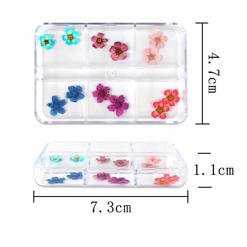 Natural Dry Flowers Nail Art Decorations Colorful Real Dried Small Flower Manicure Accessories Supplies for Gel Nail Tips