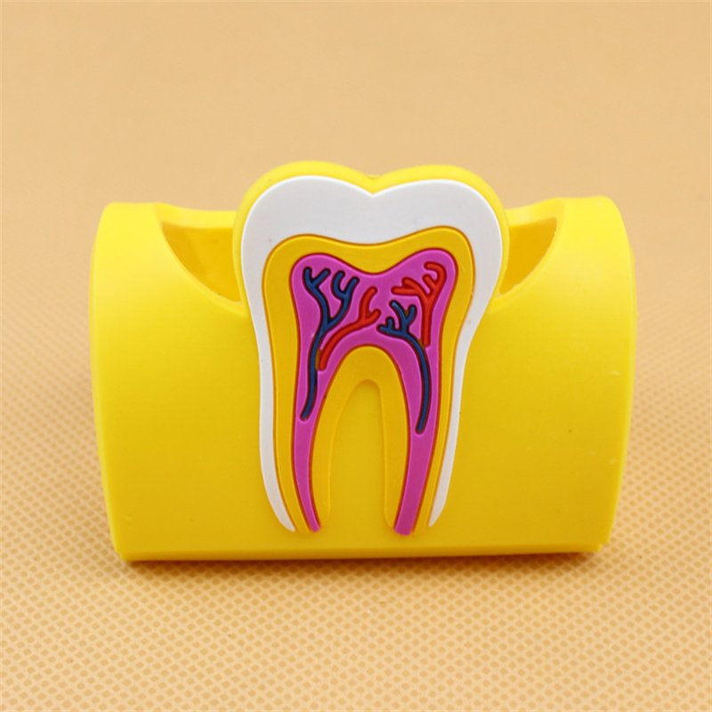 Dentiste cadeau porte-carte mignon pour la clinique dentaire coloré dents en caoutchouc de forme molaire du nom de la carte de téléphone