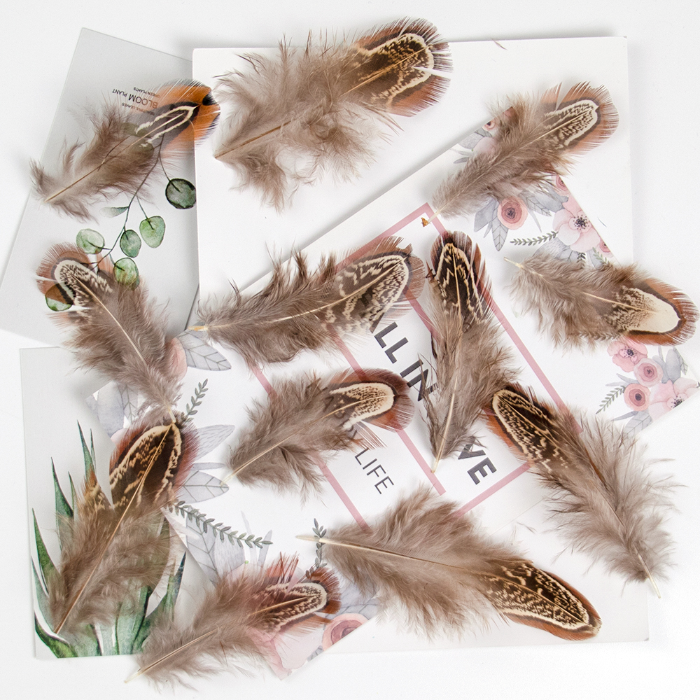 Pheasant Rooster Turkey Feathers 3-8Cm DIY Crafts Wedding Carnival Jewelry Dream Catcher Accessories Chicken Plumas Decor