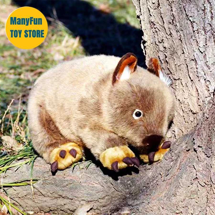 Plyschdockor wombat plysch leksaker hög trohet kaola plysch australien wombat peluche livtro fyllda djur simulering doll kawai leksaksgåvor j240410