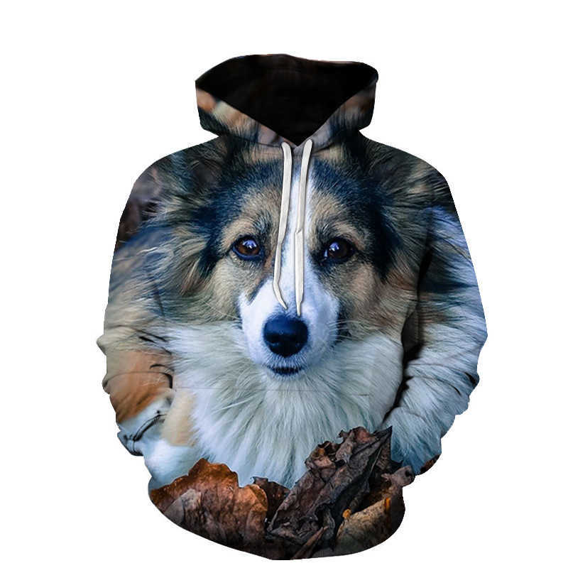 Spring and Autumn Fashion Popular New Dog Series 3D Sweater Capided Turning Versátil Casual