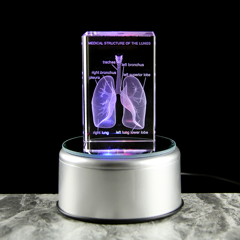 Crystal 3D laser gegraveerd menselijk anatomisch longkubus model standbeeld papiergewicht ademhalingsmedische souvenir wetenschapsgeschenken