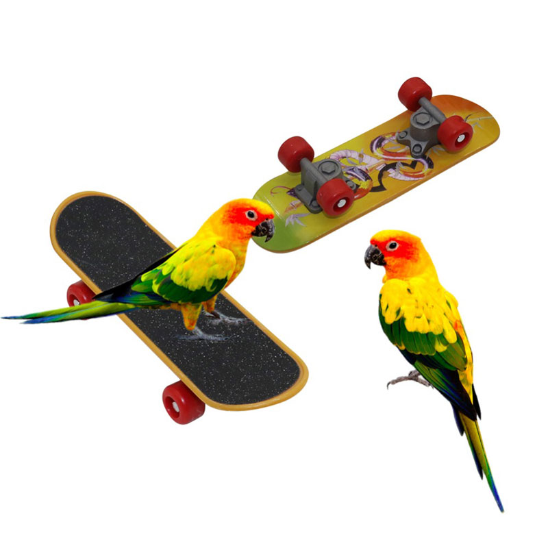 Parrot Mini Scooter Birds Swing Training Skateboard Bird Supplies Accessoires Claw Grinding Toy