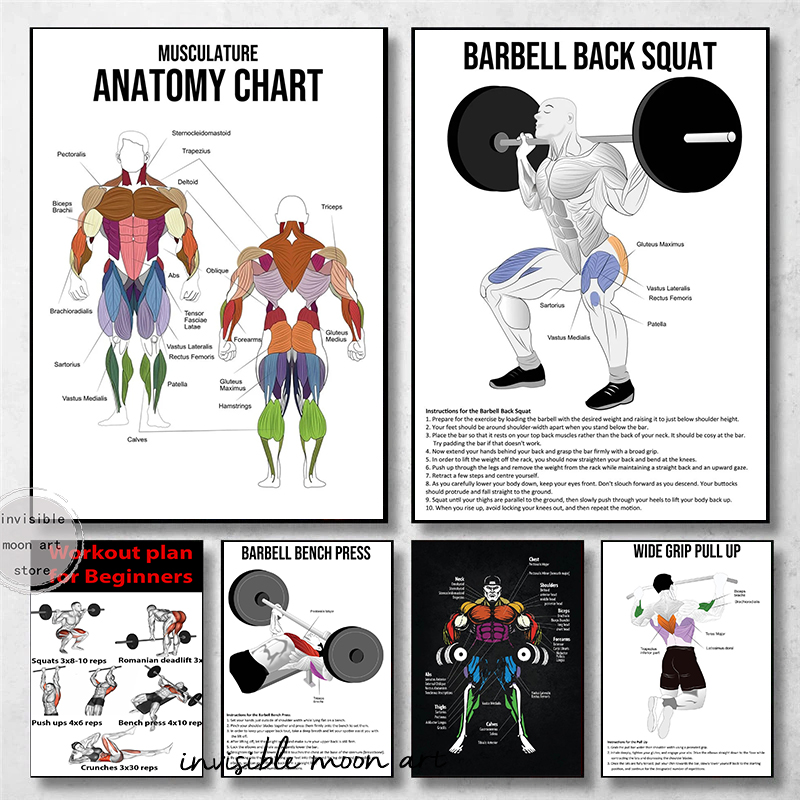 Esercizio Diagrammi di anatomia Muscolatura Muscolatura Diagramma anatomia poster d'arte in tela di pittura Stampe d'arte da parete Immagini palestra