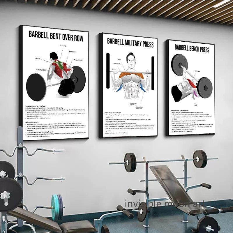 Esercizio Diagrammi di anatomia Muscolatura Muscolatura Diagramma anatomia poster d'arte in tela di pittura Stampe d'arte da parete Immagini palestra