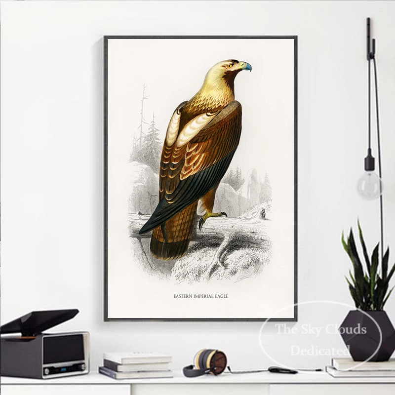 Animal Bird Toivas Peinture de la chouette de paon Parrot Affiche vintage HD Imprimé Art mural Picture Salon Chambre Home Decor