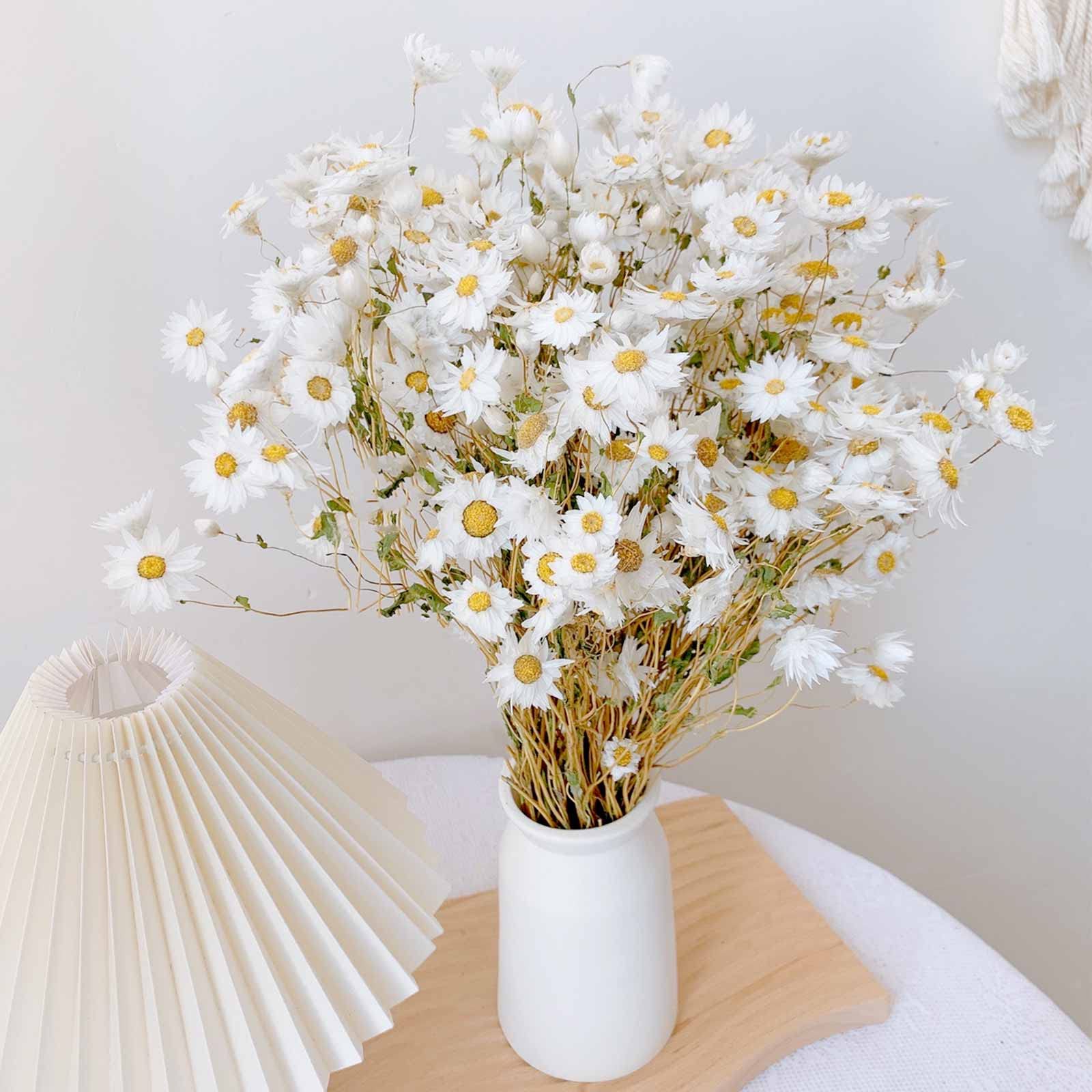 Dried Daisy Flowers Bouquet,Real Dry White Flower,Gerber Daisies Arrangements for Wedding,Farmhouse Decorations,DIY Home Decor