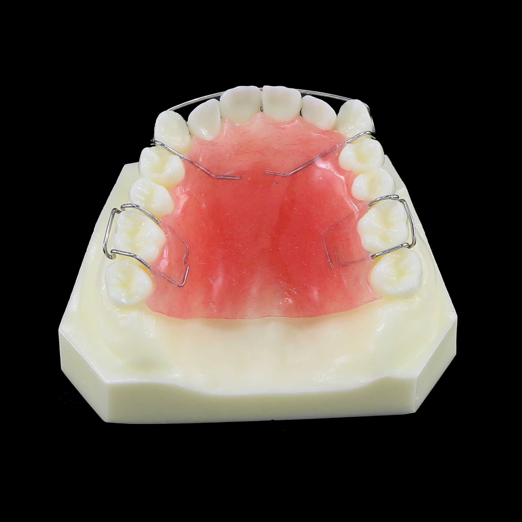 Modèle de dents de dents Orthodontics Traitement Bionator amovible for Dentistry Dentist Study Demo Dentures Dentures Hawley Retenue