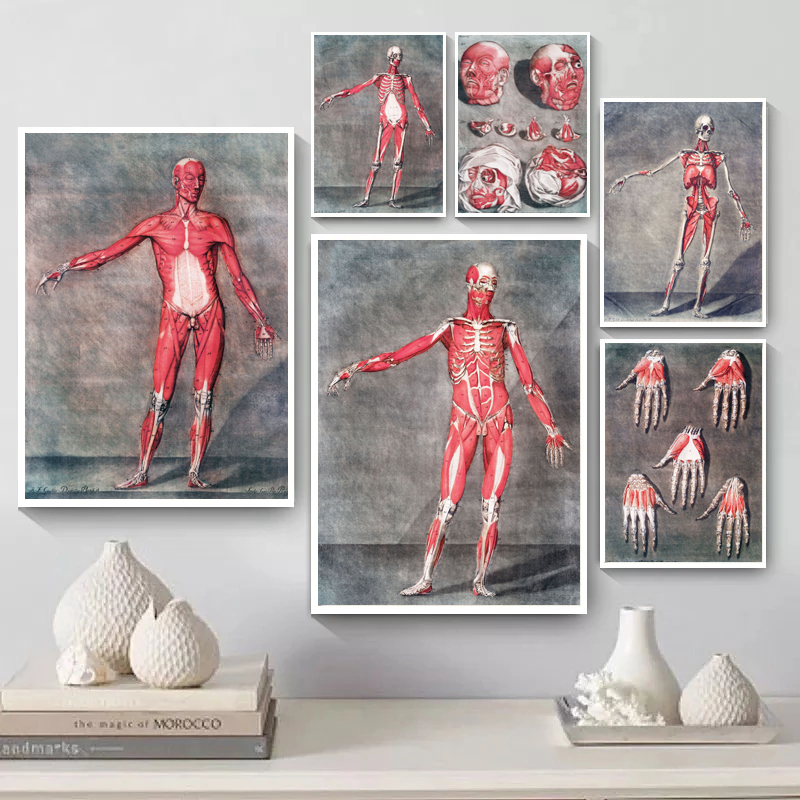Vintage Morbid Anatomy Chart Human Body Medical Affisch Canvas Målning Artwork Science Biologi Education Prints Home Decor