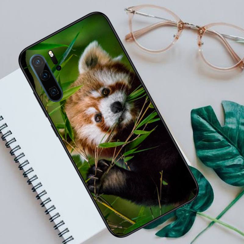 Red Panda Mignon Animal Phone Animal pour Huawei Honor Mate 30 40 50 20 8 70 5 9 10 Pro P X I S Y LITE NOVA