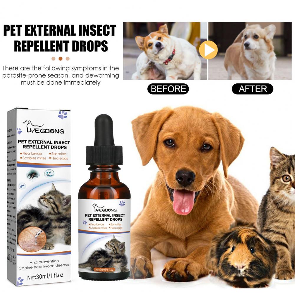 30 ml di repellente insetti animali domestici gocce di cani delicati naturali gatti trattamento insetto insetto popi di pulci di spray insetto killer antipasto antipasto