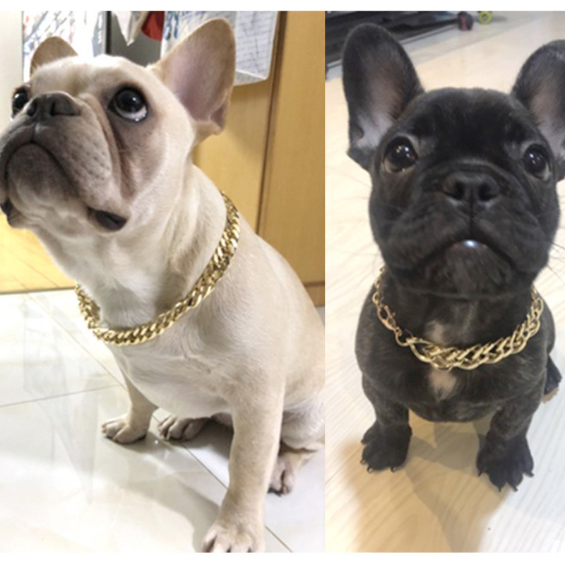Liten hund akrylkedja teddy fransk bulldogg halsband silvery/gyllene husdjur tillbehör hundar krage husdjur halsband smycken krage