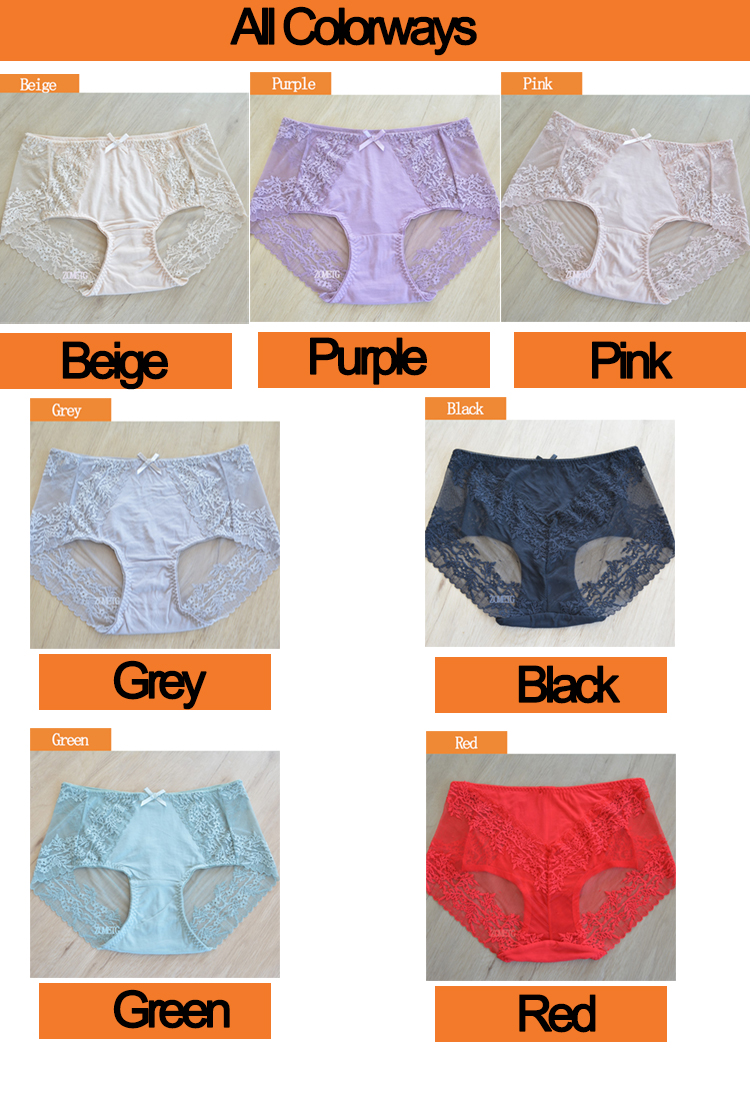 Womens Lingeries Lace Briefs plus size Underwear For Women Lady underpants Various Color Accept Mix color Zmtgb2916