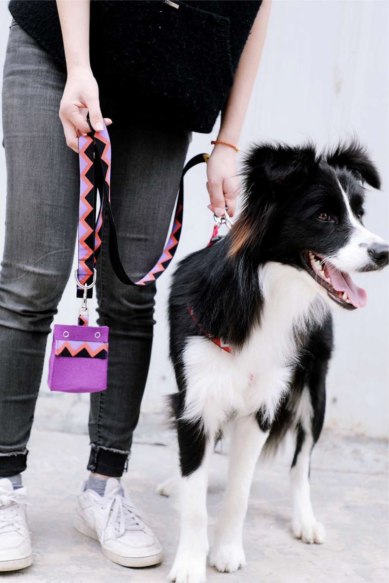 Bolsa portátil para animais de estimação Saco de cocô de cocô de cocô ecológico