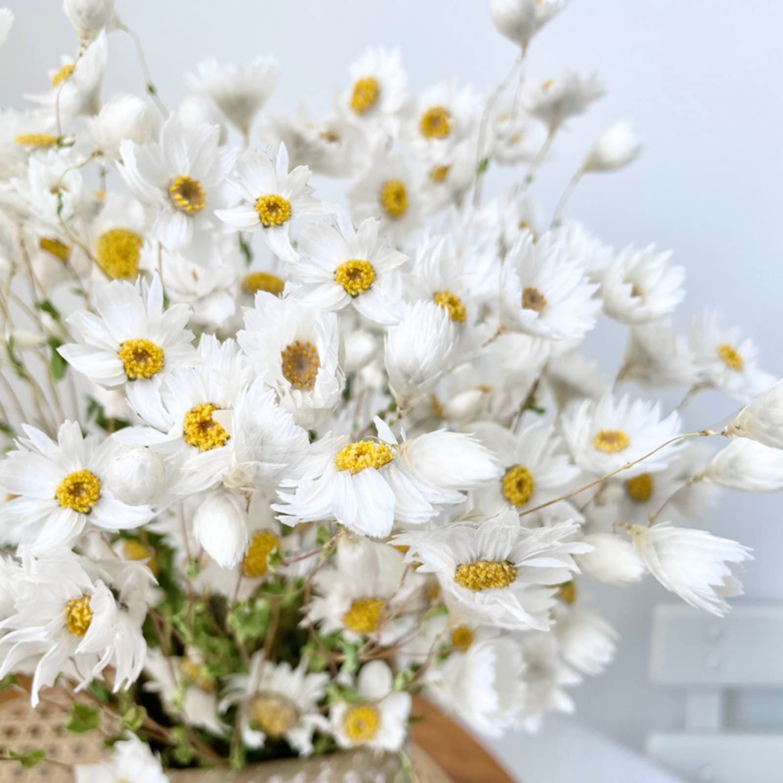 Dried Daisy Flowers Bouquet,Real Dry White Flower,Gerber Daisies Arrangements for Wedding,Farmhouse Decorations,DIY Home Decor