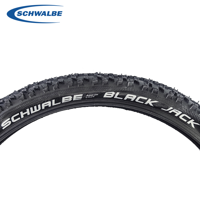 Schwalbe 20 