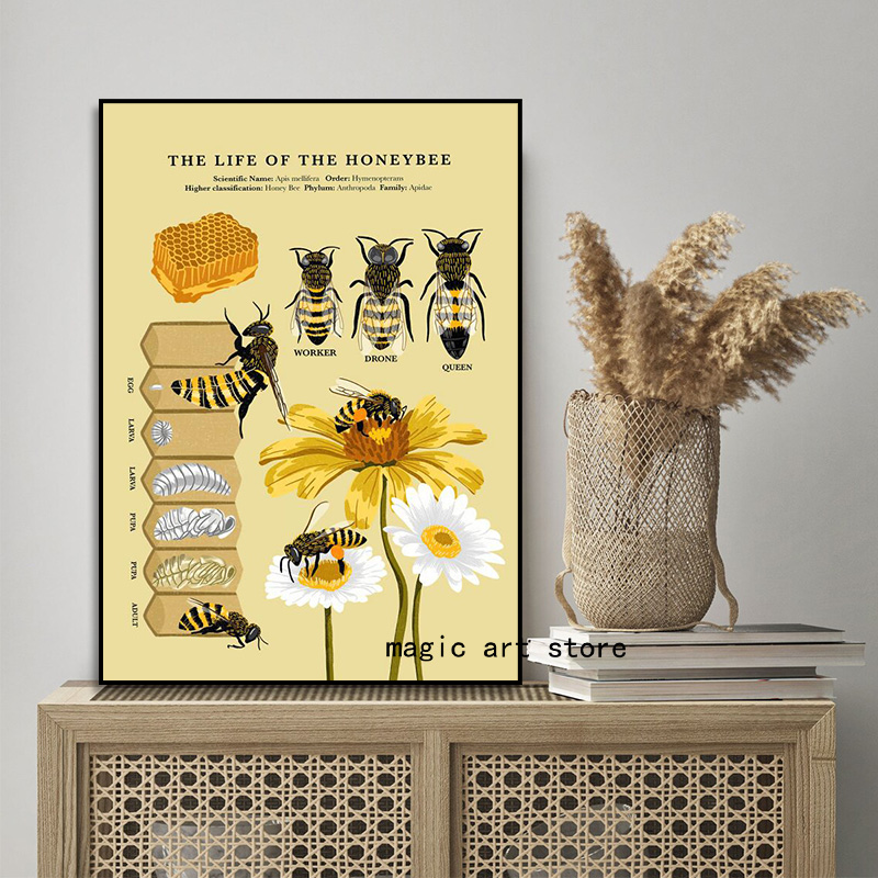 Vintage Ancient The Life of the Honey Bee Insetti naturali Biologia Poster d'arte Posti di pittura Stampa pareti Diamazione la casa