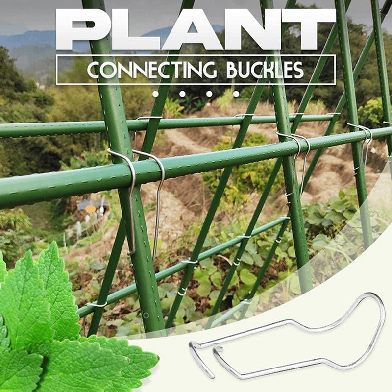 Plant Stakes, łączące klamry, złącza klatki rośliny, klipsywa do straszy, stawki ogrodowe Wspieraj złącza