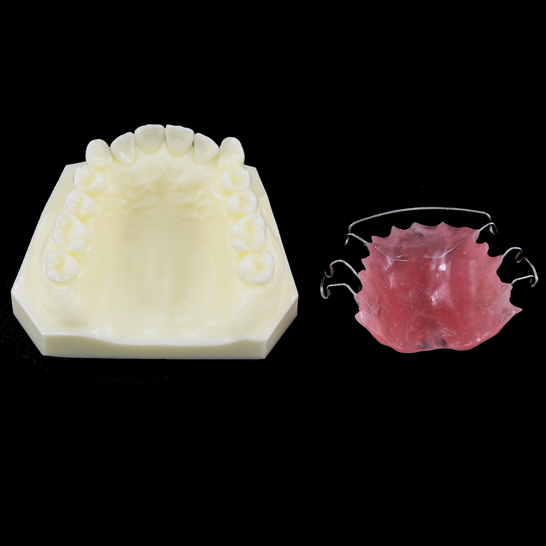 Modèle de dents de dents Orthodontics Traitement Bionator amovible for Dentistry Dentist Study Demo Dentures Dentures Hawley Retenue