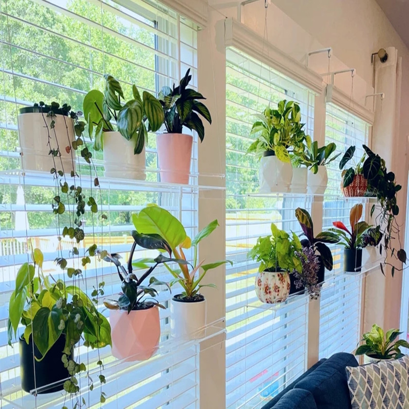 Piante personalizzate in transpAent piante acriliche succulente scaffale succulente pentola da fiore da giardino finestra soggiorno camera da letto