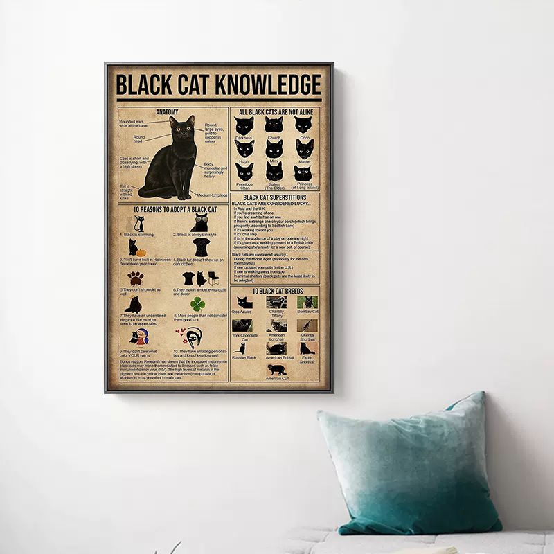 Funnamente Cat Black Cat Raids Gráfico de conhecimento Poster Print Canvas pintando arte de parede vintage para decoração de casa de estar decoração