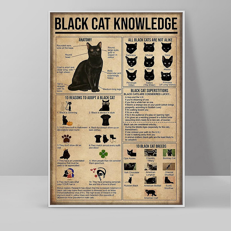 Funnamente Cat Black Cat Raids Gráfico de conhecimento Poster Print Canvas pintando arte de parede vintage para decoração de casa de estar decoração