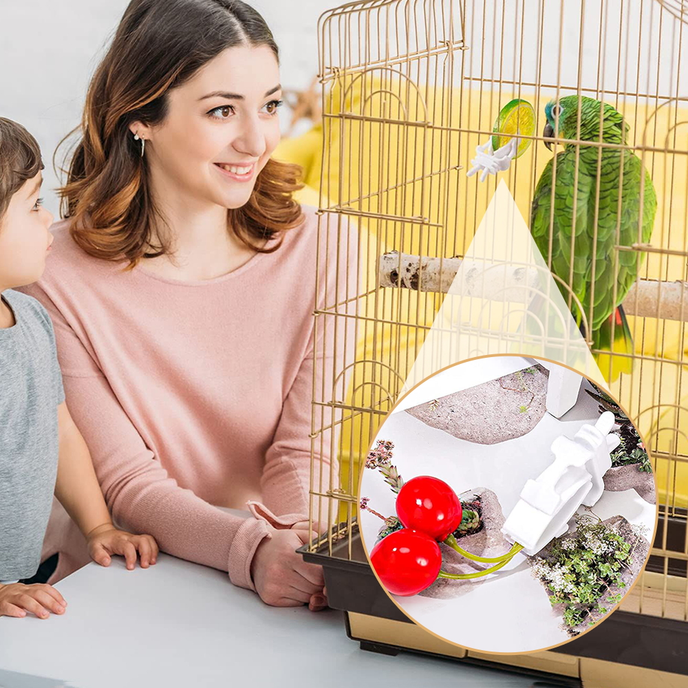 Birds Food Holder Pet Parrot Feeding Fruit Vegtable Clip Cuttlefish Bone Feeder Device Pin Clamp Bird Cage Accessories